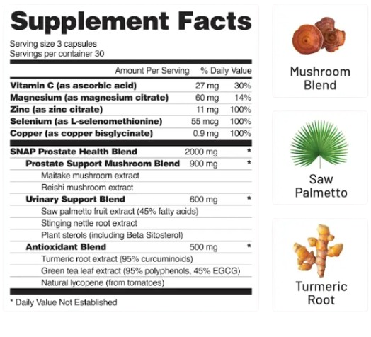 Snap Prostate Health Ingredients